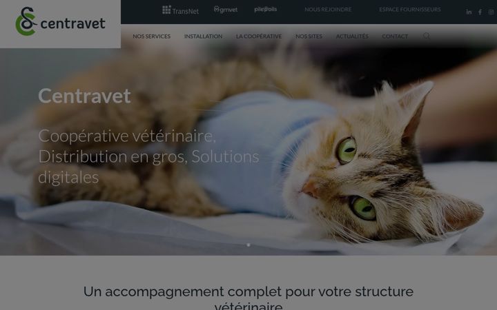 Screenshot ta' centravet.fr