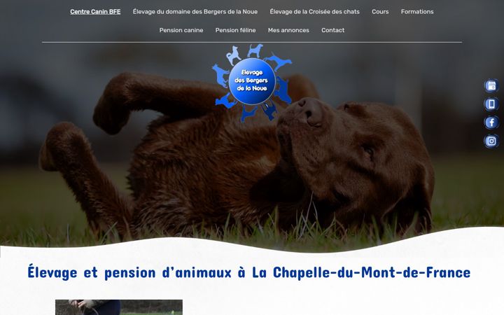 Screenshot of centrecaninbfe.com