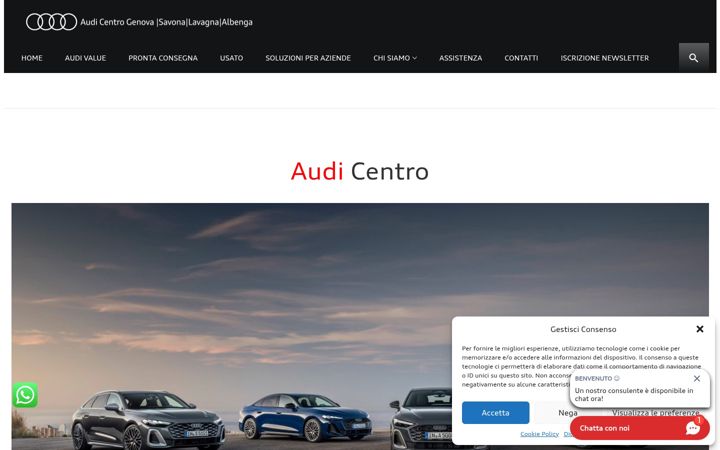 Skærmbillede af centroaudi.it