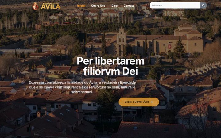 Screenshot von centroavila.com.br