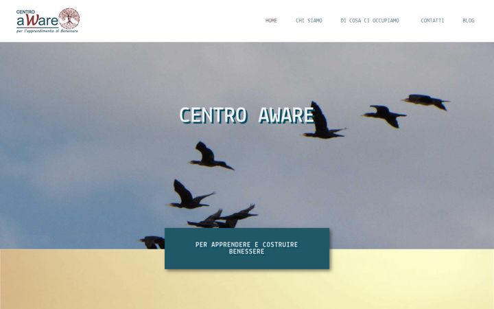 Skærmbillede af centroaware.it