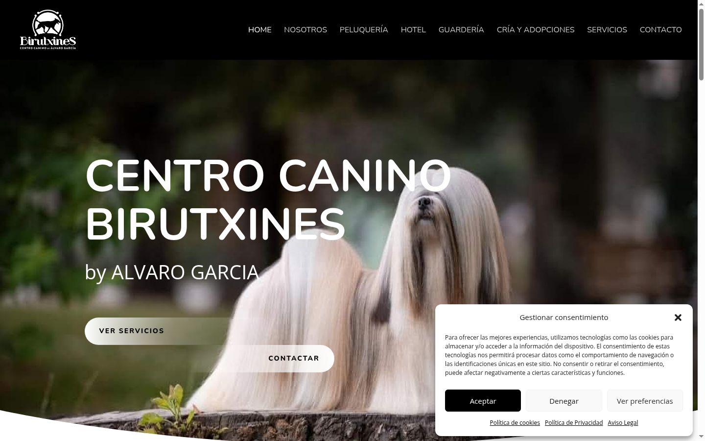 Screenshot del banner di consenso mostrato prima di qualsiasi interazione