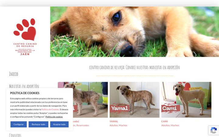 Screenshot of centrocaninoresurja.com