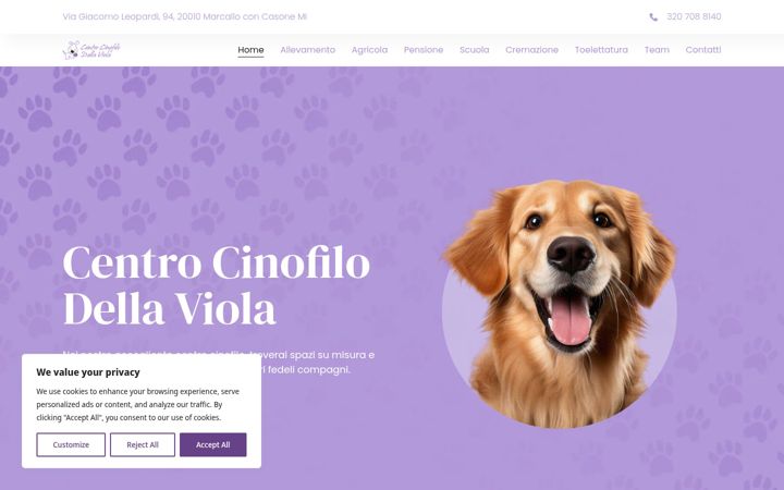 Snímek obrazovky centrocinofilodellaviola.org