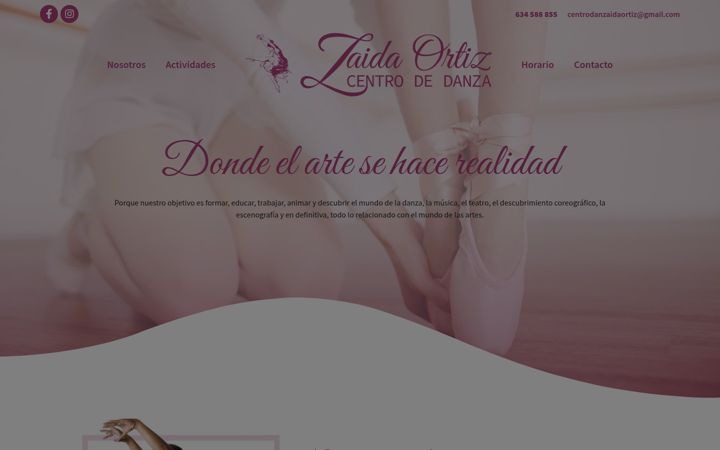 Screenshot of centrodanzaidaortiz.com