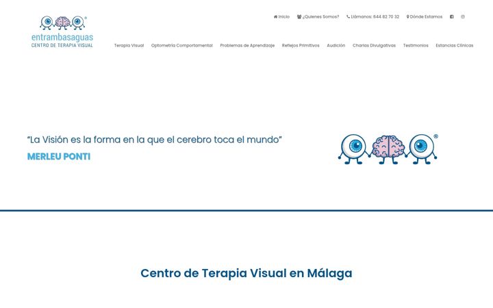 Screenshot of centrodeterapiavisual.com