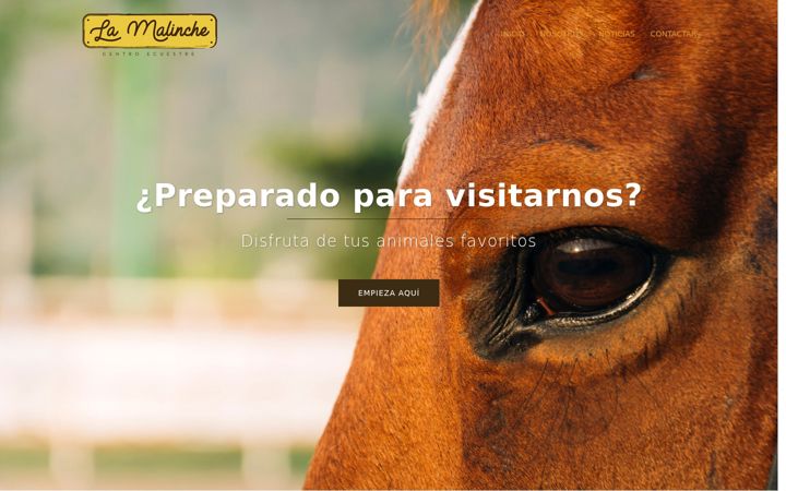 Captura de ecrã de centroecuestrelamalinche.es