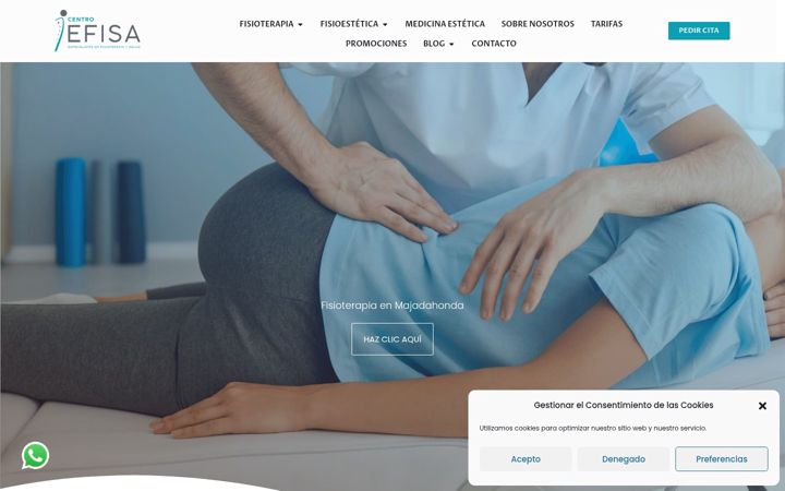 Screenshot of centroefisa.com