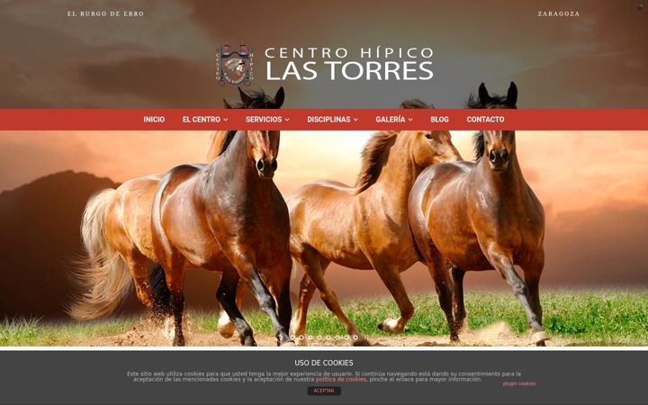 Screenshot of centrohipicolastorres.com