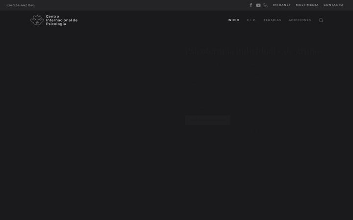 Screenshot of centrointernacionaldepsicologia.com