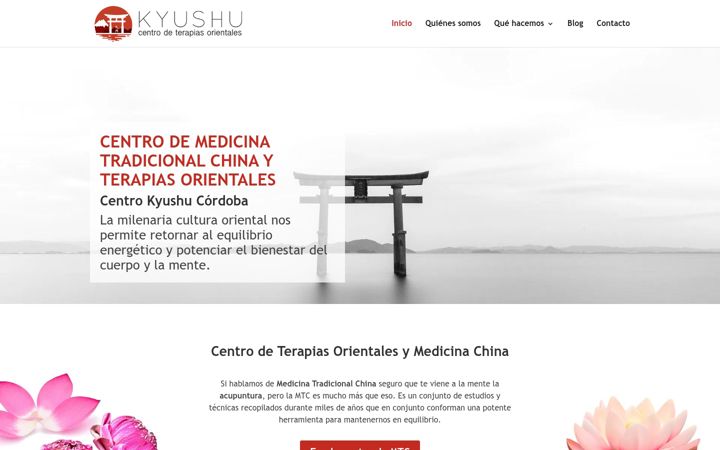 Screenshot of centrokyushu.com