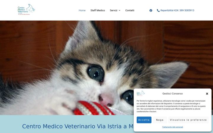 Screenshot of centromedicoveterinariomessina.it