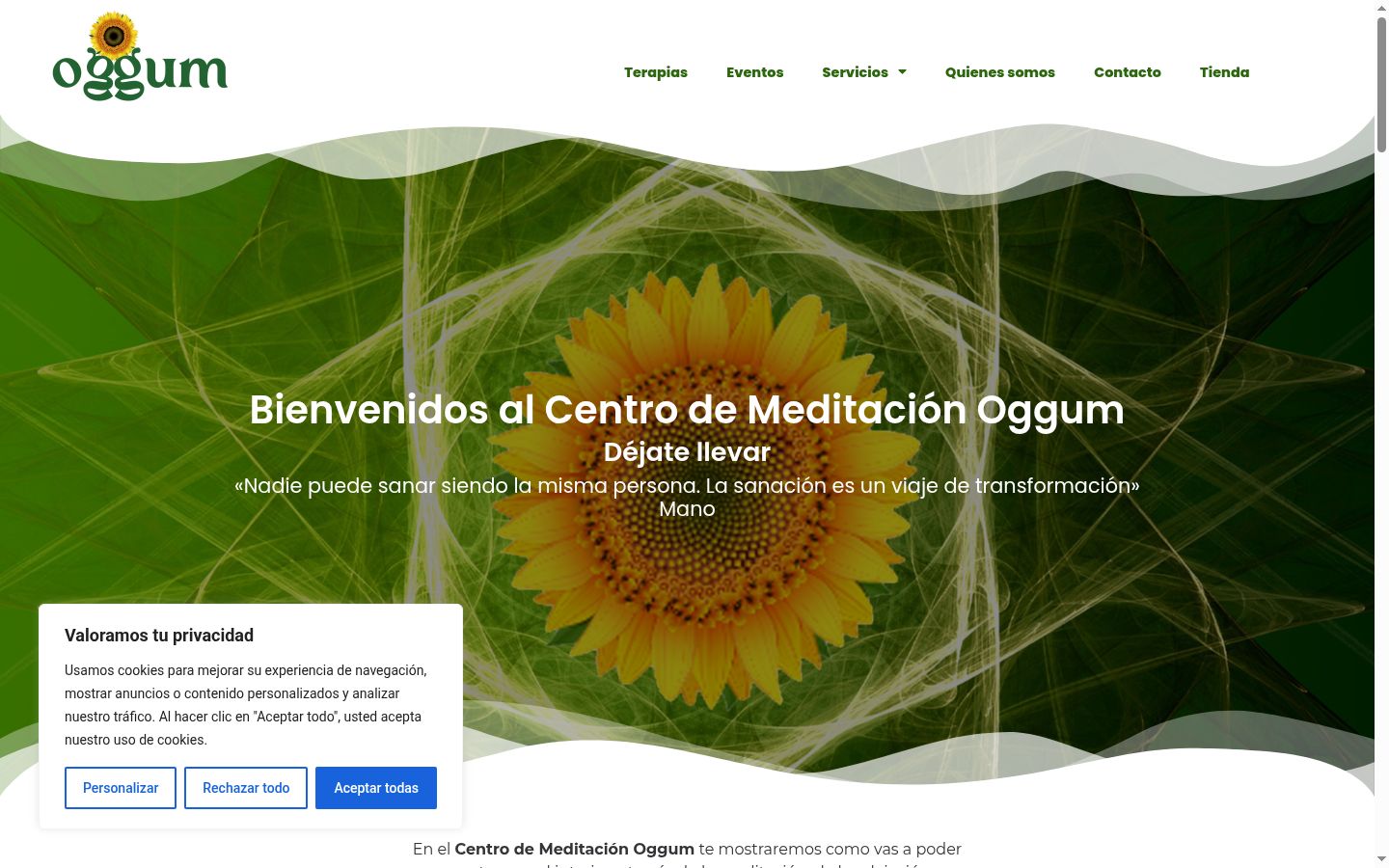 Screenshot of the consent banner shown before any interaction