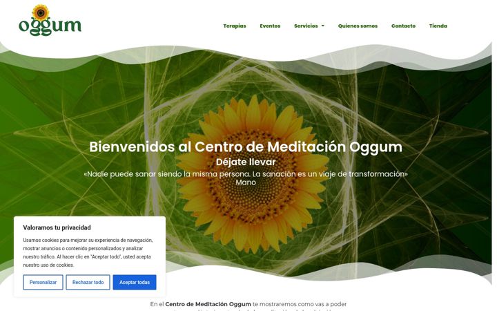 Screenshot of centromeditacionoggum.com
