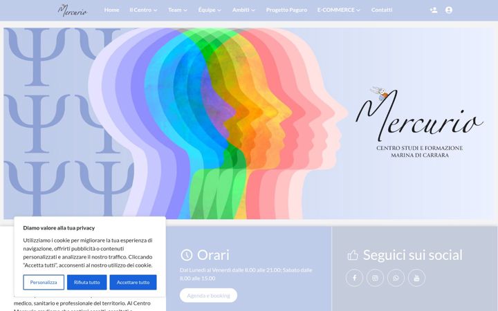 Screenshot of centromercurio.com