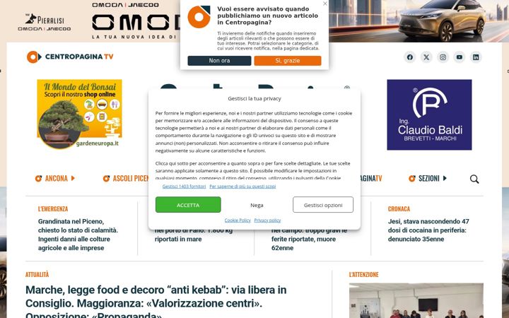Screenshot of centropagina.it