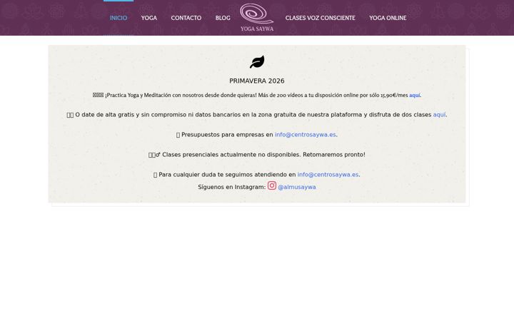 Screenshot of centrosaywa.es