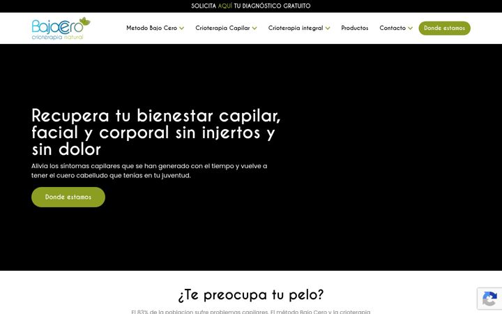 Screenshot of centrosbajocero.es