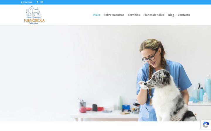 Screenshot of centroveterinariofuengirola.com