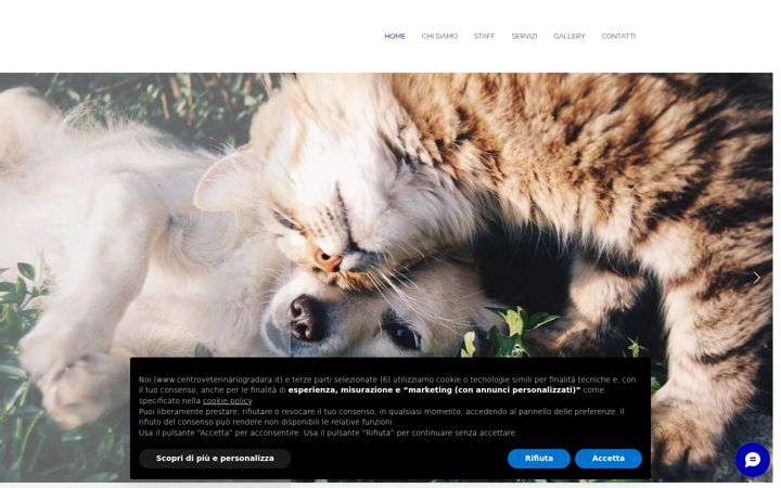 Screenshot of centroveterinariogradara.it