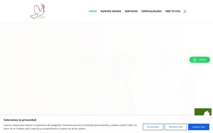 Képernyőkép: centroveterinariojosepalomino.es