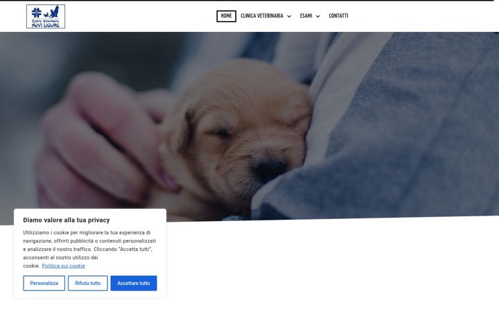 Screenshot of centroveterinarionovi.com