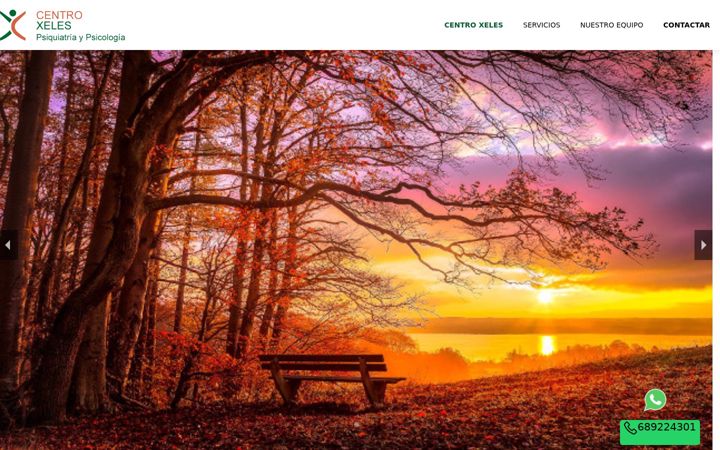Screenshot of centroxeles.com