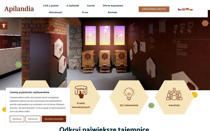 Ekrano kopija centrum-apilandia.pl