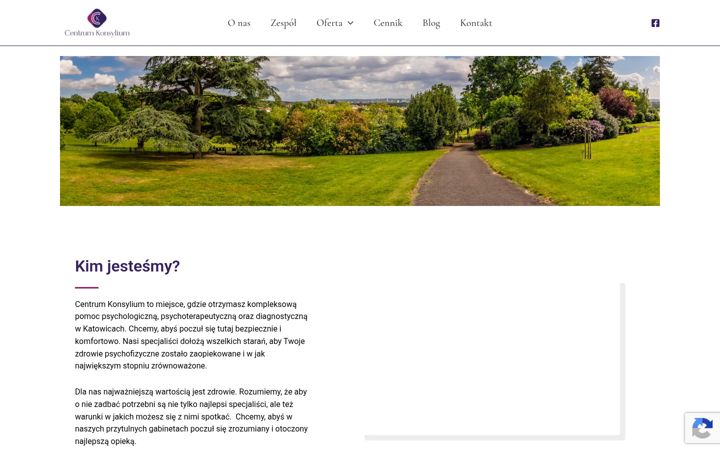 Posnetek zaslona centrum-konsylium.pl