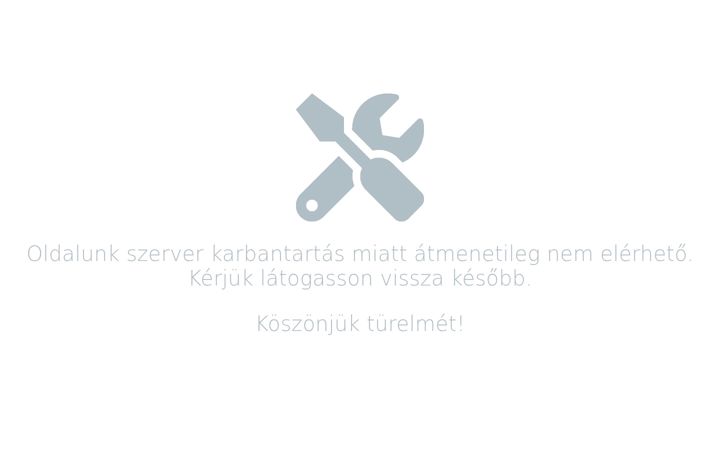 Screenshot του centrumflotta.hu