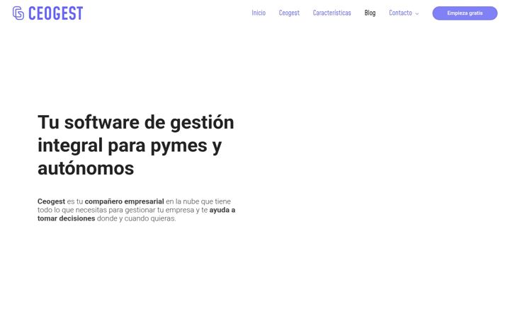 Screenshot of ceogest.com
