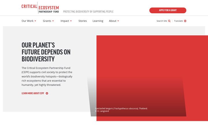 Screenshot of cepf.net