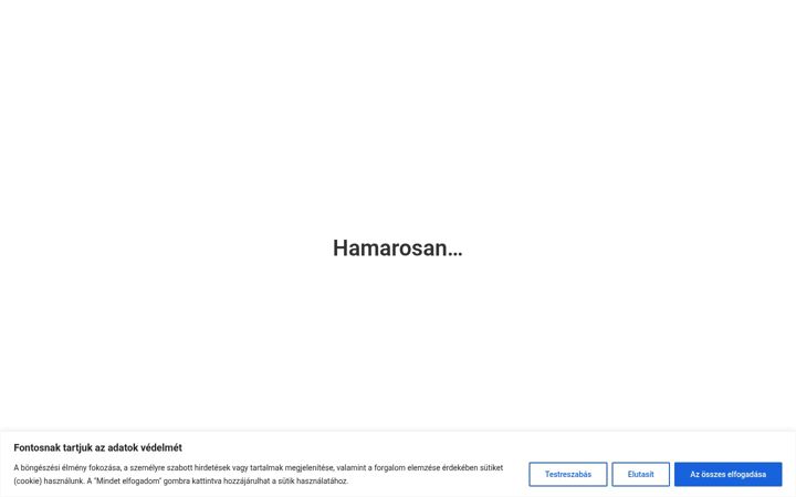 Screenshot του cepi-packaging.hu