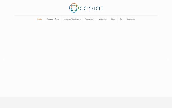 Screenshot of cepiat.com