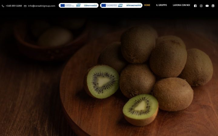 Screenshot of ceradinigroup.com