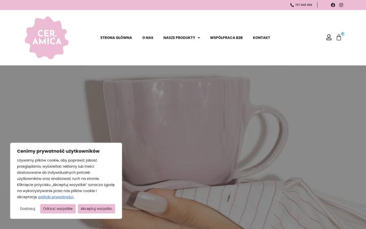Screenshot di ceramica.com.pl