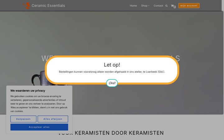Screenshot of ceramicessentials.com