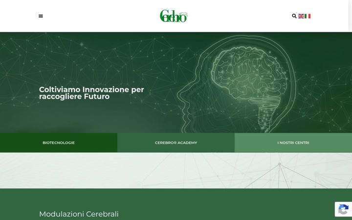 Екранна снимка на cerebrosrl.it
