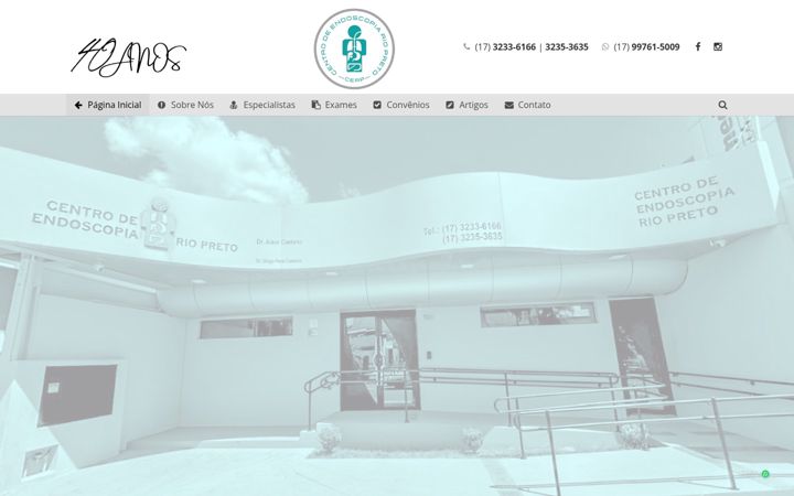 Zrzut ekranu cerpendoscopia.com.br