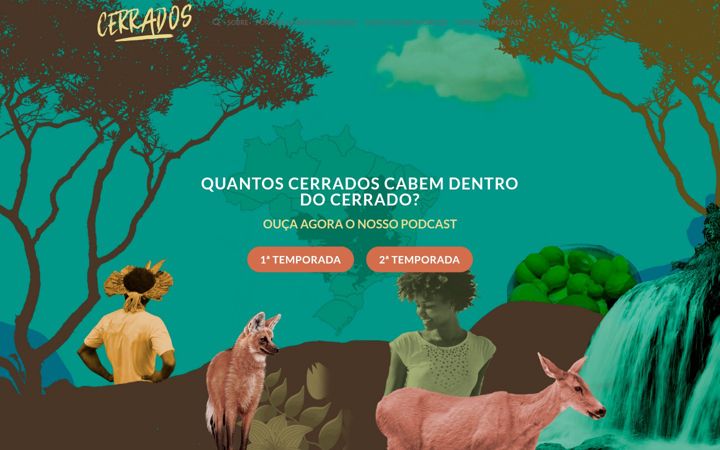 Zrzut ekranu cerrados.org.br