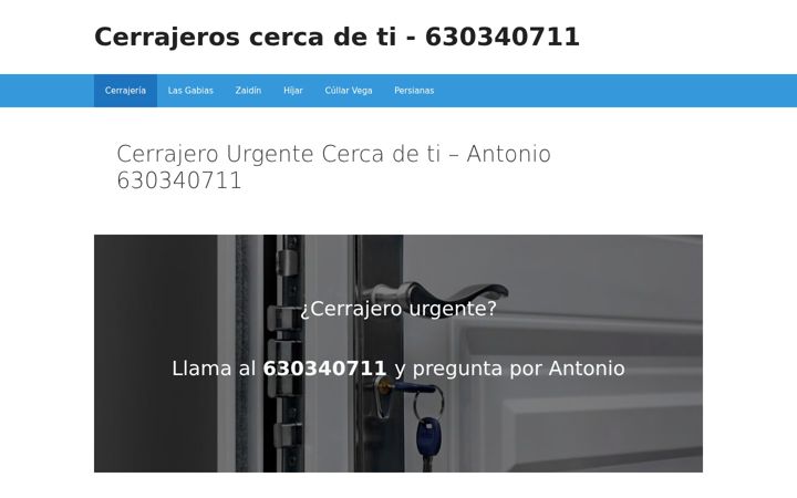 Screenshot di cerrajerocercademi.net