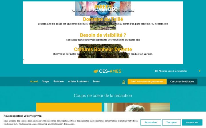Screenshot von ces-ames.fr