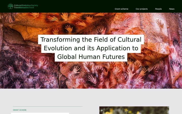 Snímek obrazovky ces-transformationfund.org