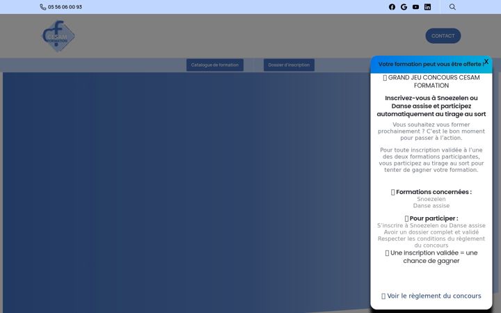Screenshot von cesam-formation.fr