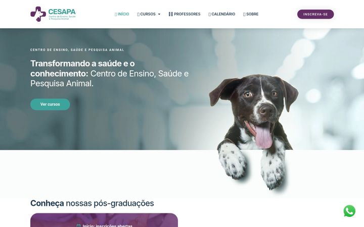 Posnetek zaslona cesapa.com.br