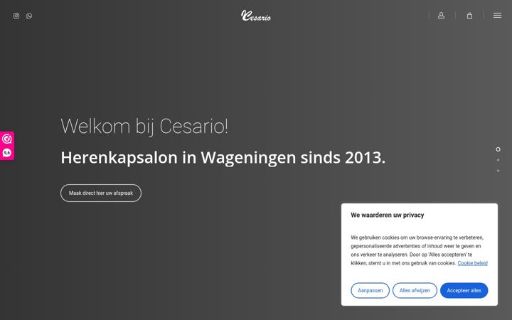 Skærmbillede af cesario.nl