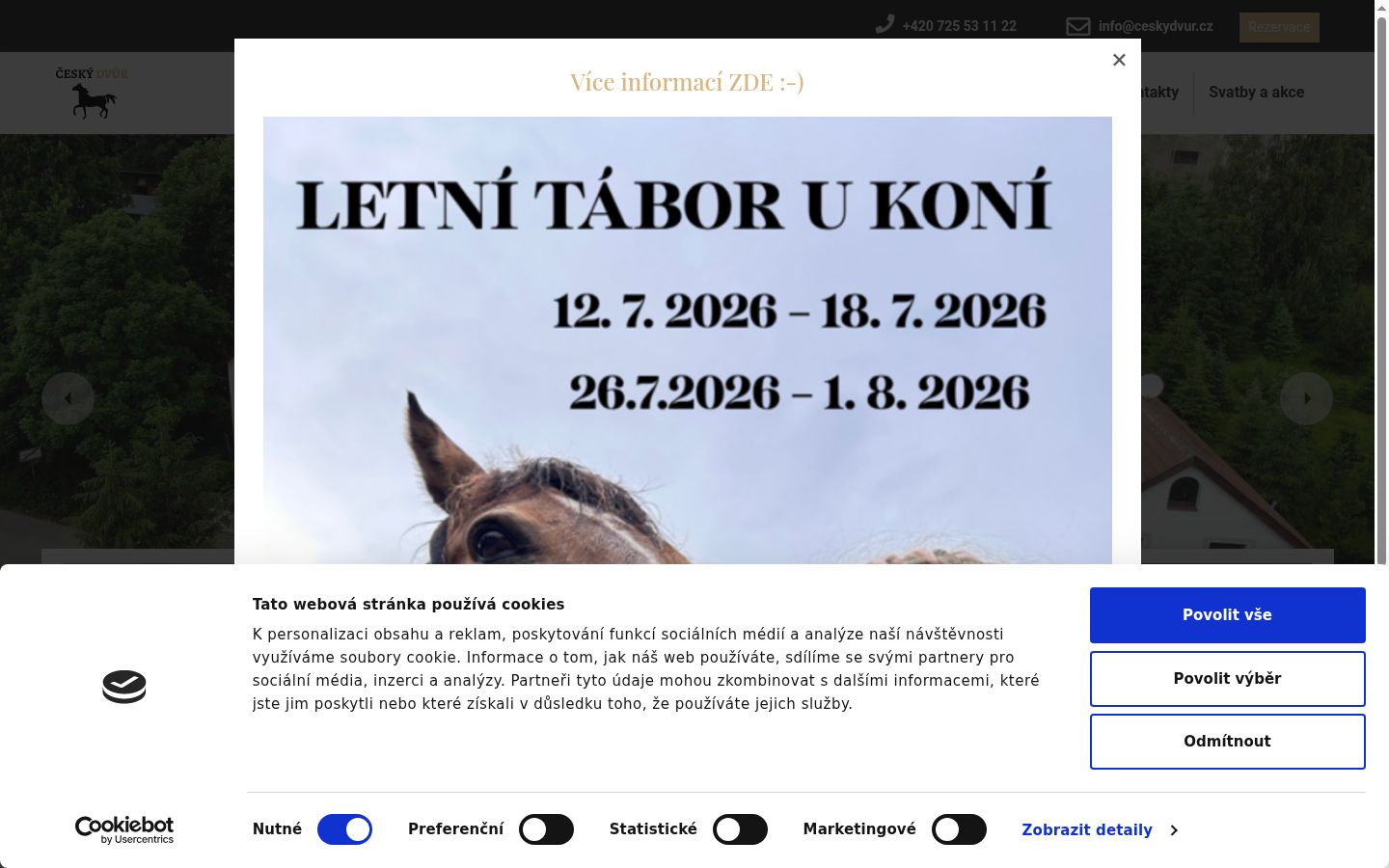 Skærmbillede af samtykkebanneret, som det blev vist før nogen interaktion