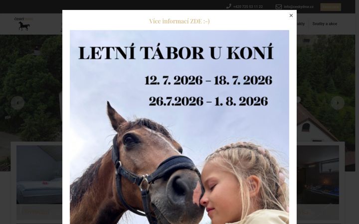 Screenshot ta' ceskydvur.cz