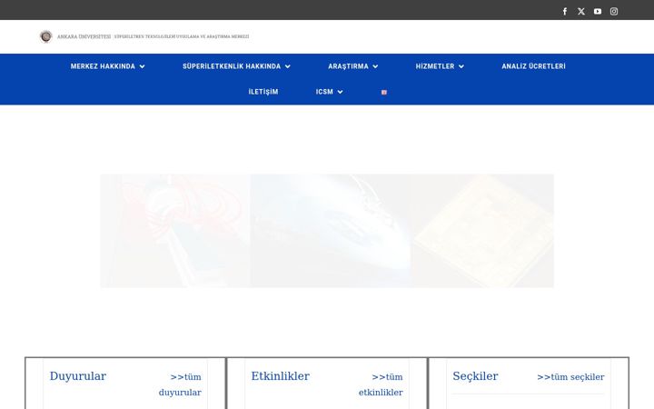 Kuvakaappaus sivustosta cesur.ankara.edu.tr