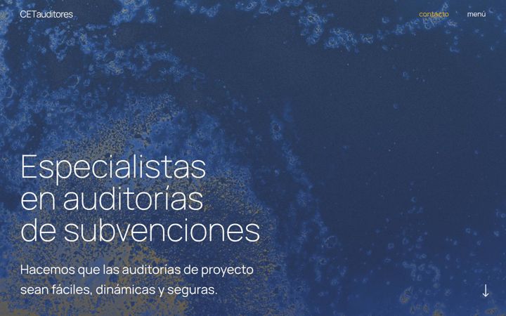Screenshot of cetauditores.com